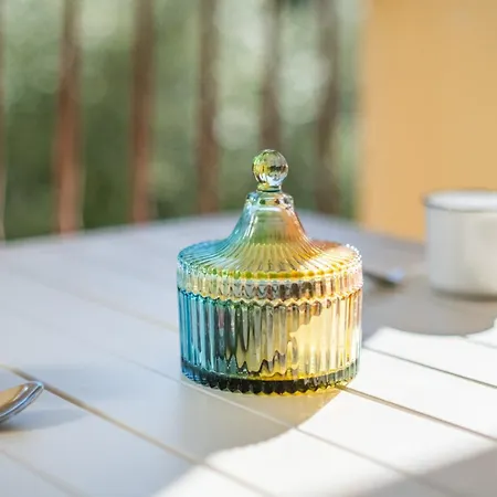 Pause Ensoleillee Apartment