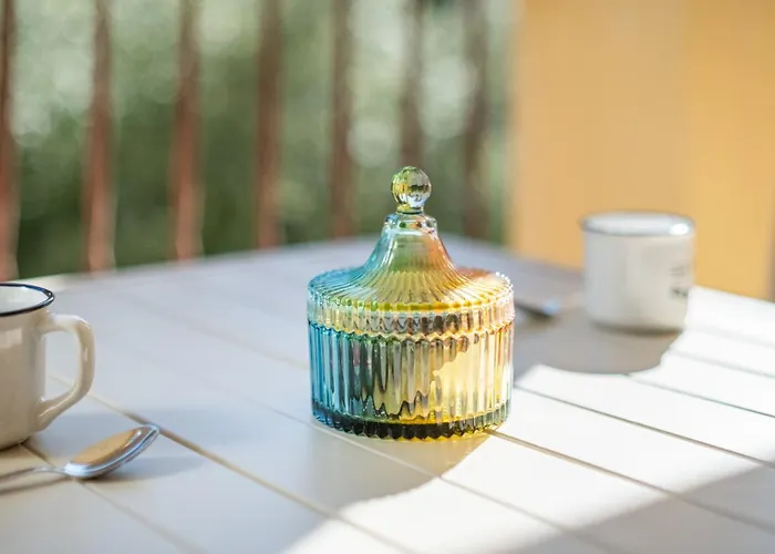 Pause Ensoleillee Apartment